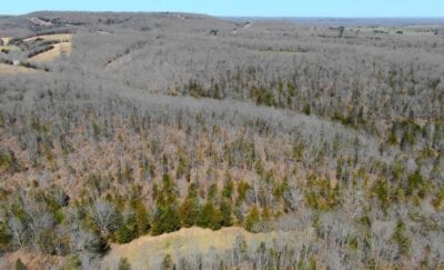 Owner Financed Hunting and Recreational Land in Missouri and Arkansas