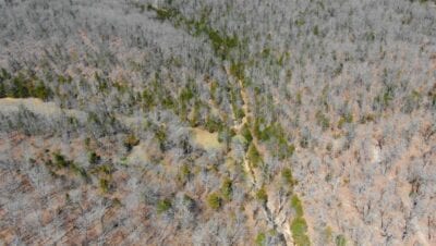 Owner Financed Hunting and Recreational Land in Missouri and Arkansas