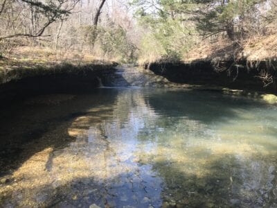 Owner Financed Hunting and Recreational Land in Missouri and Arkansas