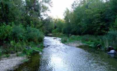 Owner Financed Hunting and Recreational Land in Missouri and Arkansas