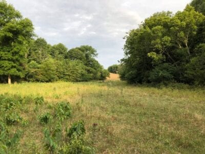 Owner Financed Hunting and Recreational Land in Missouri and Arkansas