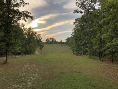 Owner Financed Hunting and Recreational Land in Missouri and Arkansas
