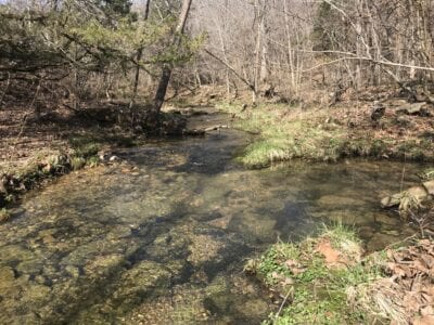 Owner Financed Hunting and Recreational Land in Missouri and Arkansas