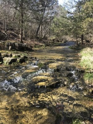 Owner Financed Hunting and Recreational Land in Missouri and Arkansas
