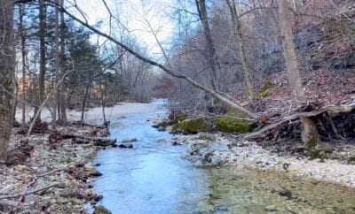 Owner Financed Hunting and Recreational Land in Missouri and Arkansas