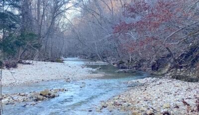 Owner Financed Hunting and Recreational Land in Missouri and Arkansas
