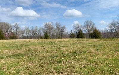 Owner Financed Hunting and Recreational Land in Missouri and Arkansas