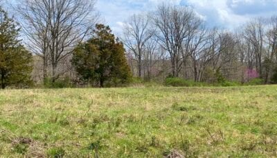 Owner Financed Hunting and Recreational Land in Missouri and Arkansas