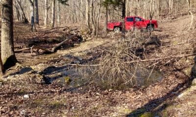 Owner Financed Hunting and Recreational Land in Missouri and Arkansas