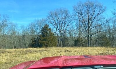 Owner Financed Hunting and Recreational Land in Missouri and Arkansas