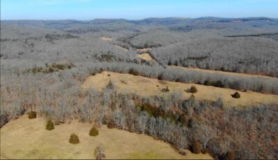 Owner Financed Hunting and Recreational Land in Missouri and Arkansas