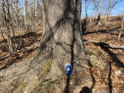 Owner Financed Hunting and Recreational Land in Missouri and Arkansas