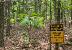 Owner Financed Hunting and Recreational Land in Missouri and Arkansas