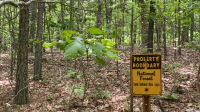Owner Financed Hunting and Recreational Land in Missouri and Arkansas
