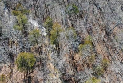 Owner Financed Hunting and Recreational Land in Missouri and Arkansas
