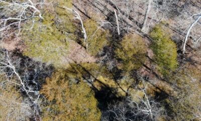 Owner Financed Hunting and Recreational Land in Missouri and Arkansas
