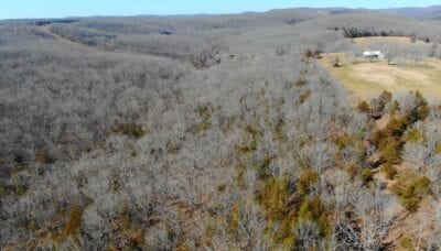 Owner Financed Hunting and Recreational Land in Missouri and Arkansas