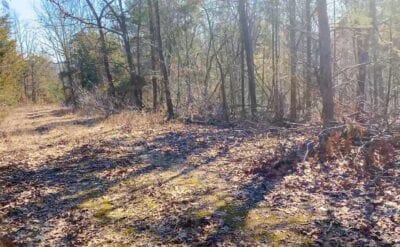 Owner Financed Hunting and Recreational Land in Missouri and Arkansas