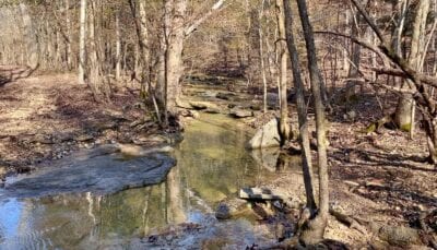 Owner Financed Hunting and Recreational Land in Missouri and Arkansas