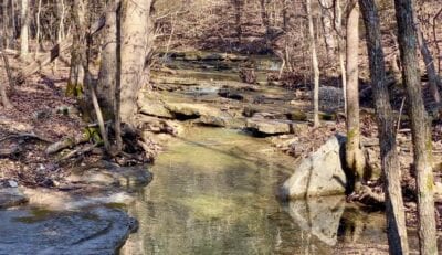 Owner Financed Hunting and Recreational Land in Missouri and Arkansas