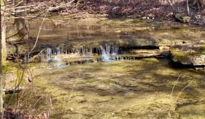 Owner Financed Hunting and Recreational Land in Missouri and Arkansas
