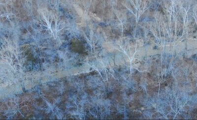 Owner Financed Hunting and Recreational Land in Missouri and Arkansas