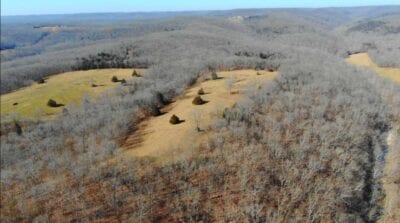 Owner Financed Hunting and Recreational Land in Missouri and Arkansas