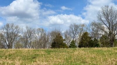 Owner Financed Hunting and Recreational Land in Missouri and Arkansas
