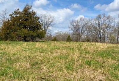 Owner Financed Hunting and Recreational Land in Missouri and Arkansas