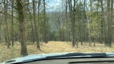 Owner Financed Hunting and Recreational Land in Missouri and Arkansas