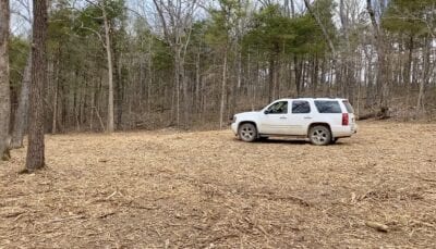 Owner Financed Hunting and Recreational Land in Missouri and Arkansas