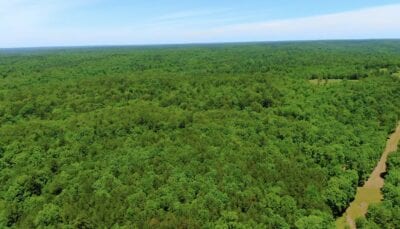 Owner Financed Hunting and Recreational Land in Missouri and Arkansas