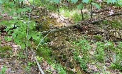 Owner Financed Hunting and Recreational Land in Missouri and Arkansas