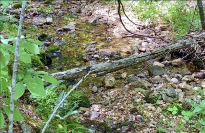 Owner Financed Hunting and Recreational Land in Missouri and Arkansas