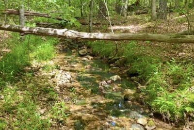 Owner Financed Hunting and Recreational Land in Missouri and Arkansas
