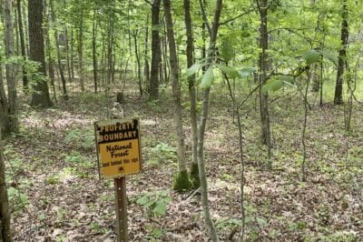 Owner Financed Hunting and Recreational Land in Missouri and Arkansas