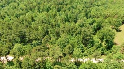 Owner Financed Hunting and Recreational Land in Missouri and Arkansas