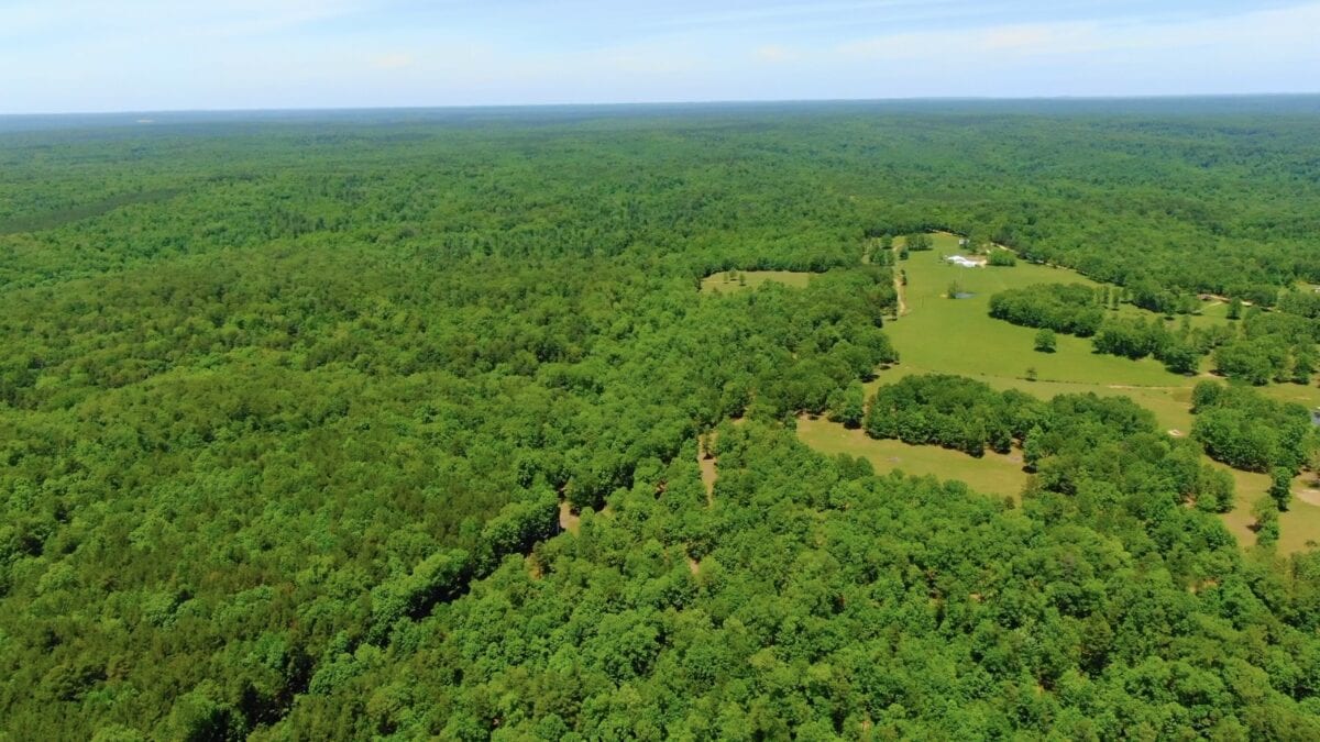 Tract 2 at The Meramec Project 10 Acres bordering the National Forest