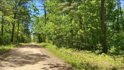 Owner Financed Hunting and Recreational Land in Missouri and Arkansas