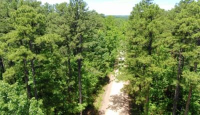 Owner Financed Hunting and Recreational Land in Missouri and Arkansas