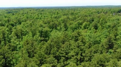 Owner Financed Hunting and Recreational Land in Missouri and Arkansas