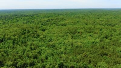 Owner Financed Hunting and Recreational Land in Missouri and Arkansas