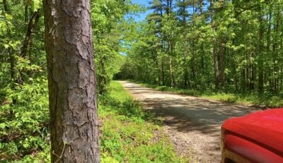 Owner Financed Hunting and Recreational Land in Missouri and Arkansas