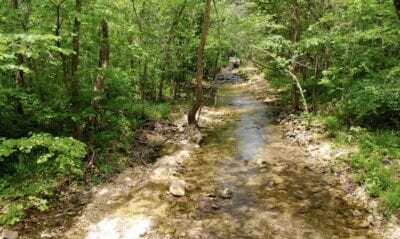 Owner Financed Hunting and Recreational Land in Missouri and Arkansas