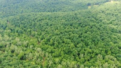 Owner Financed Hunting and Recreational Land in Missouri and Arkansas