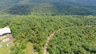 Owner Financed Hunting and Recreational Land in Missouri and Arkansas