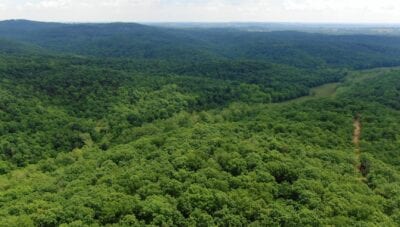 Owner Financed Hunting and Recreational Land in Missouri and Arkansas