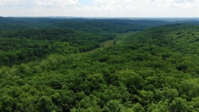 Owner Financed Hunting and Recreational Land in Missouri and Arkansas