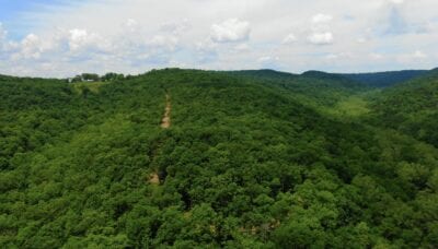 Owner Financed Hunting and Recreational Land in Missouri and Arkansas