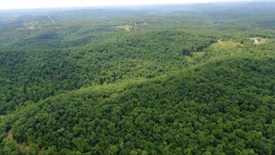 Owner Financed Hunting and Recreational Land in Missouri and Arkansas